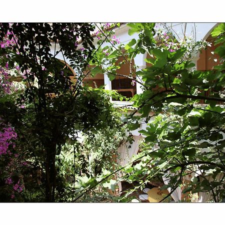 Riad Maryam טרודאנט מראה חיצוני תמונה