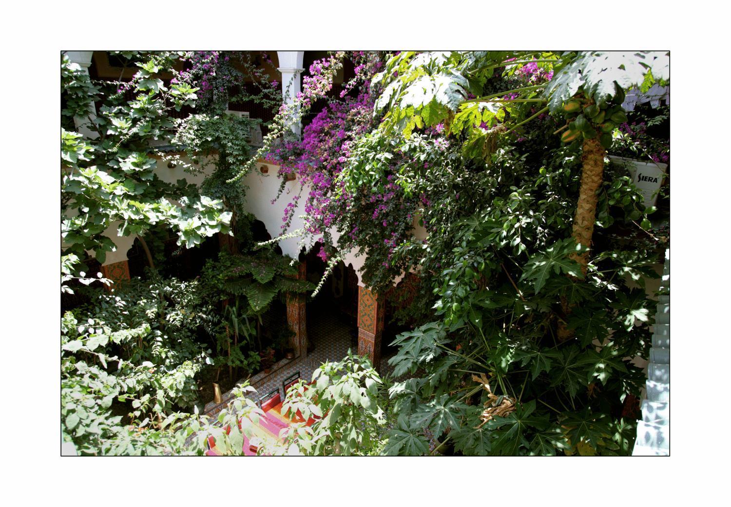 Riad Maryam טרודאנט מראה חיצוני תמונה