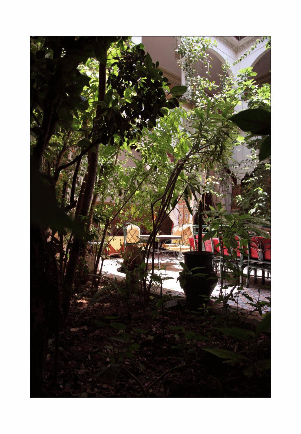 Riad Maryam טרודאנט מראה חיצוני תמונה